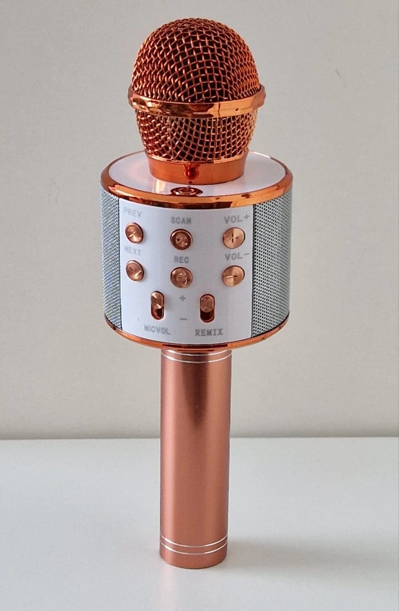 Microfon karaoke Bluetooth wireless,